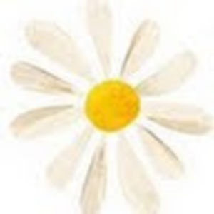 Meet your Posher, Lise